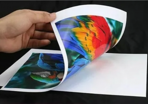 Papel Fotográfico Fosco A4 4x4