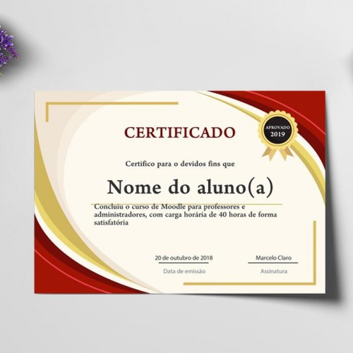 Certificado A4 Papel Fotográfico Matte 230g