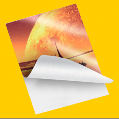 Vinil Brilho Refilado