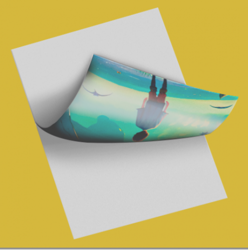 Vinil Retroverso Refilado